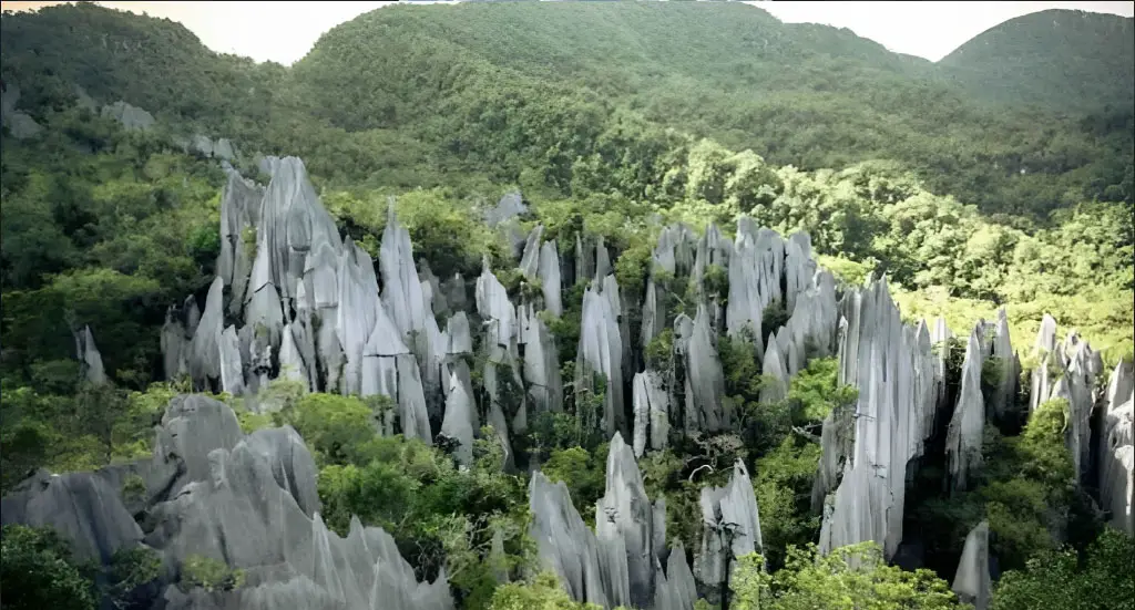 Is the Ivory Mountain in China real or fake?