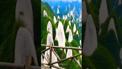 Is the Ivory Mountain in China real or fake