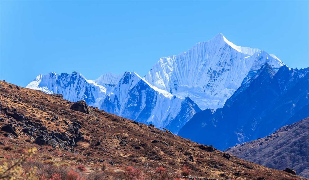 Stunning view of the snow-capped mountains in the Langtang Valley trek, featuring rugged peaks under a clear blue sky.