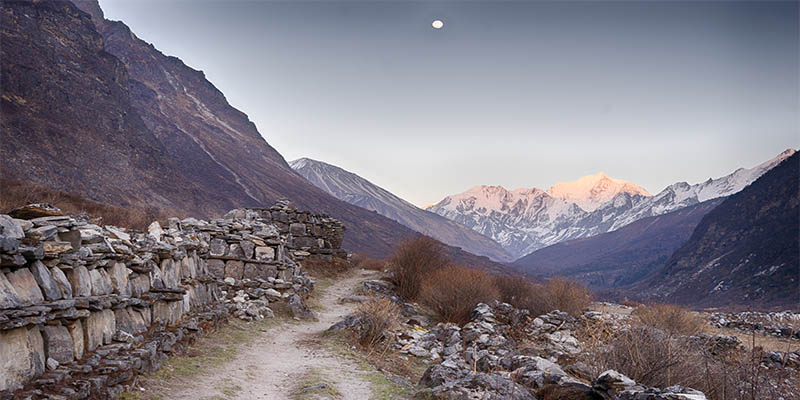 Trail near Kyanjin Gompa on Langtang Trek with stone walls and snow-capped Himalayan peaks
