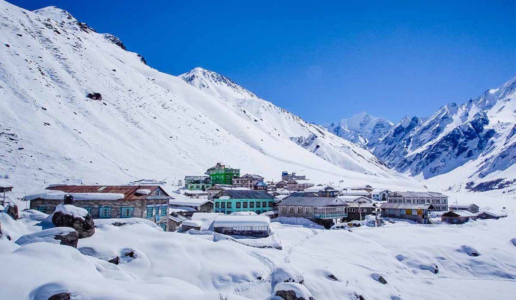 kyngin gompa the langtang village