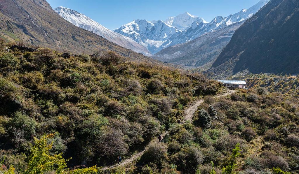 langtang trek accommodation