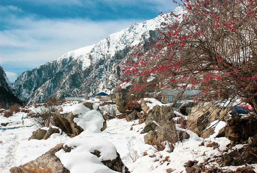 Langtang trek spring