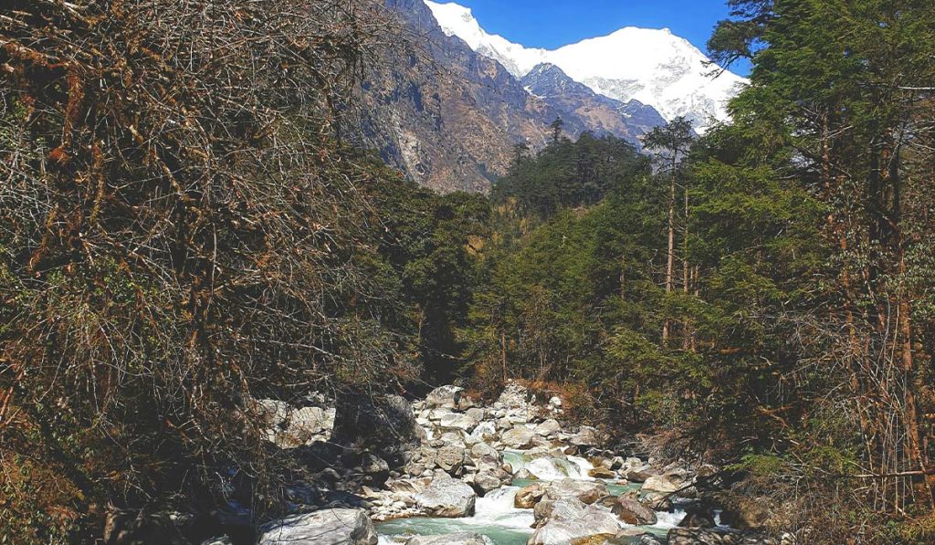 Langtang trekking cost