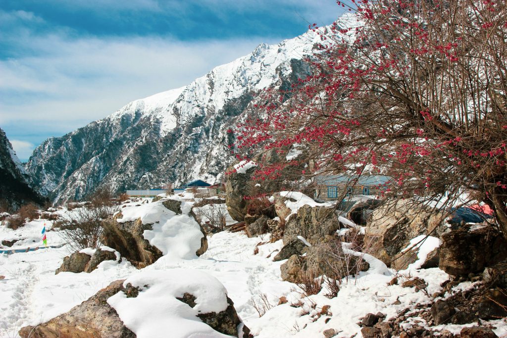 langtang trek
