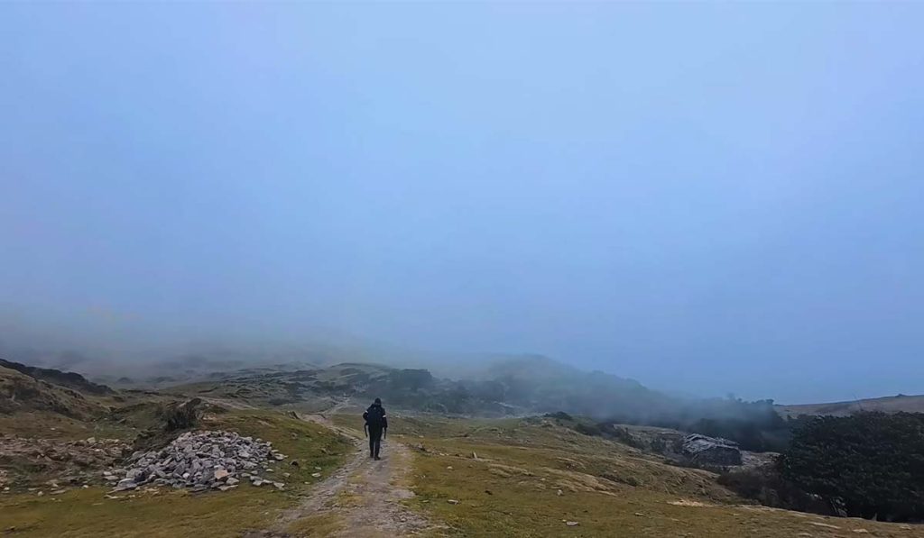 fog