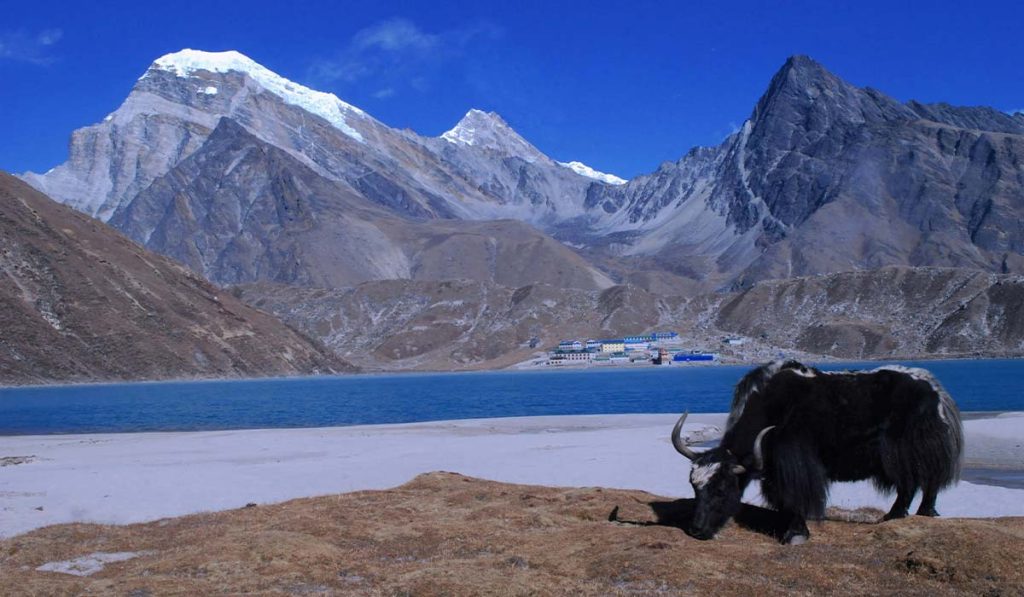 Gokyo 12