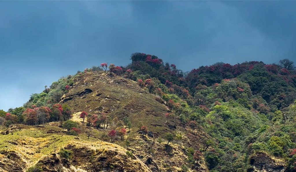 hill 6