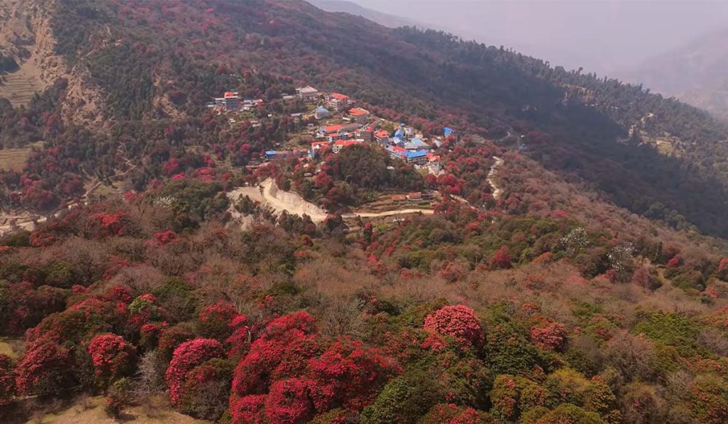 poonhill 3