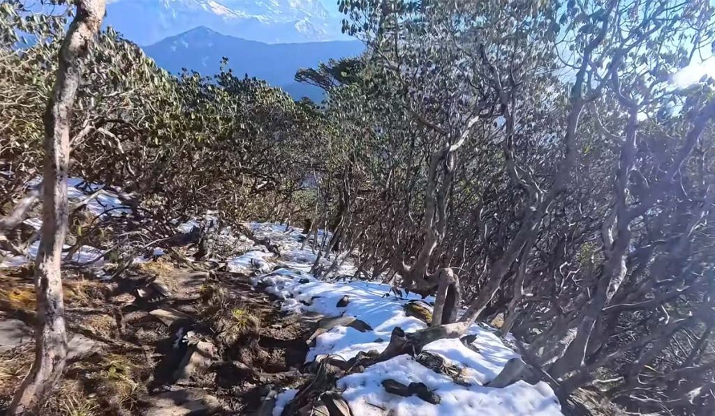 snowy trail